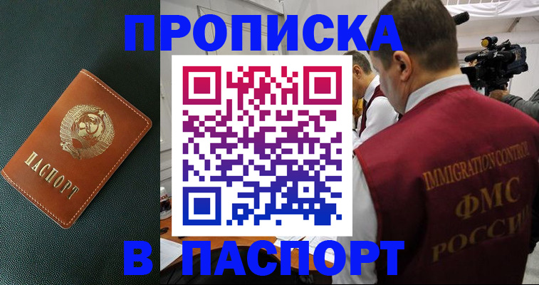 прописка иностранных граждан в Сертолово